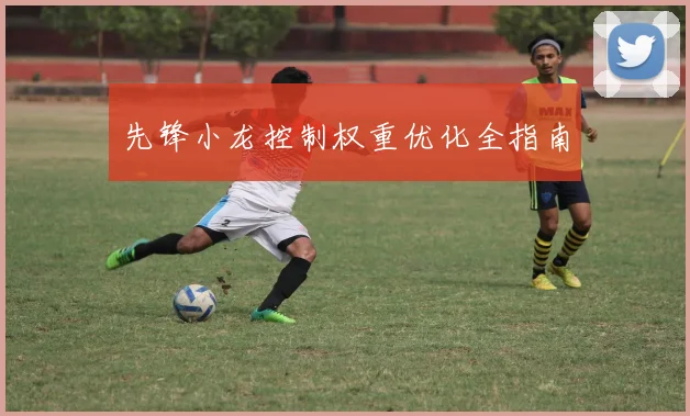 先锋小龙控制权重优化全指南